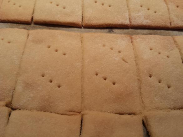 Crackers di farina di fagioli canellini  (dieta dei gruppi sanguigni)