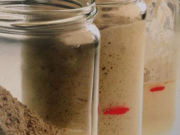 Pasta madre (o lievito naturale)