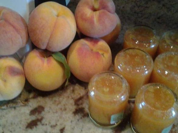 marmellata di Percocca light