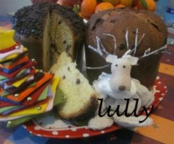 Semplicione panettone a prova di pasticcione!!!