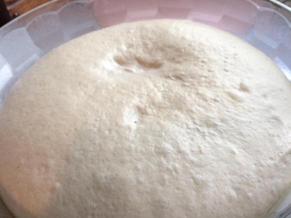 Pizza alla farina di farro