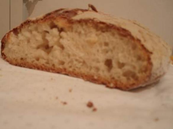 pane senza glutine