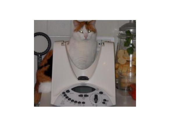 Torta di mele morbida