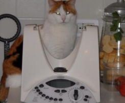 Torta di mele morbida