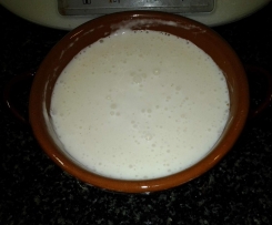 besciamella speziata senza glutine