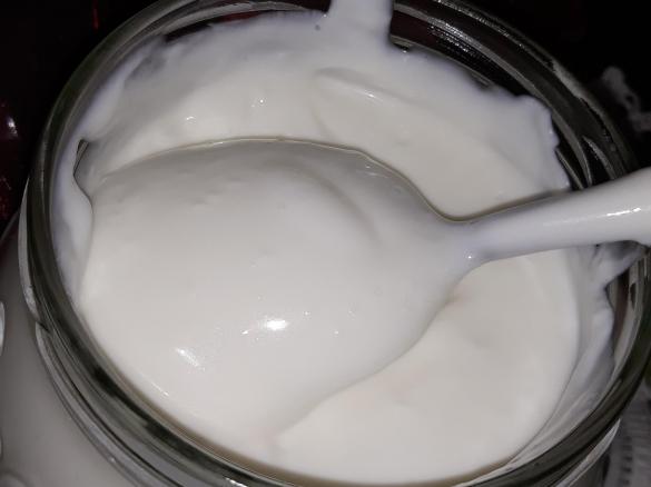 Salsa Alioli biancolatte