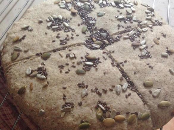 PAGNOTTONA INTEGRALE