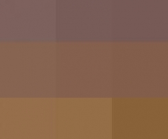 plumcake  variegato al cioccolato fuso 