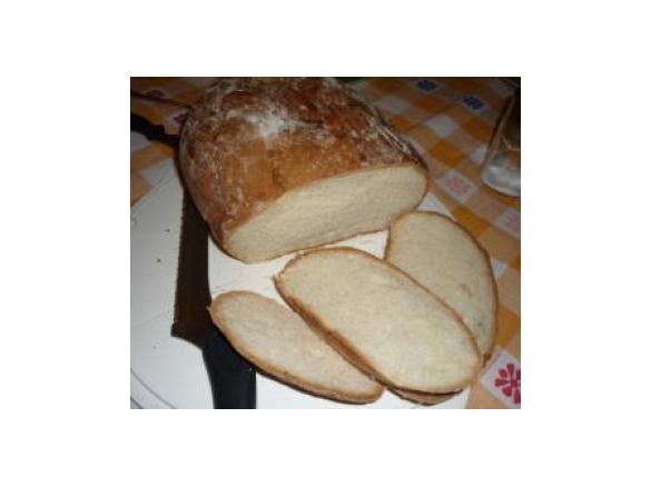 PANE 