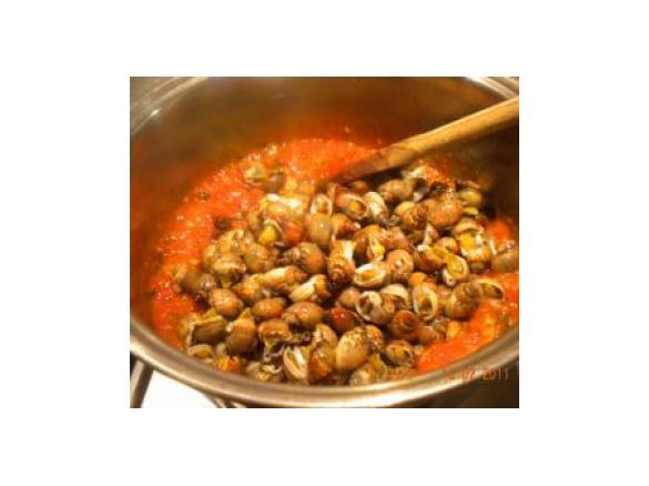 CUCCIOLETTI o Lumachine di mare(dedicate a Lully)