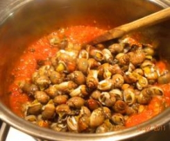 CUCCIOLETTI o Lumachine di mare(dedicate a Lully)