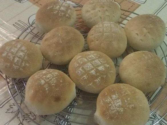 Tartarughe a lievitazione naturale