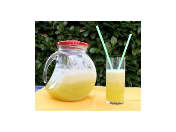 BIBITA DISINTOSSICANTE