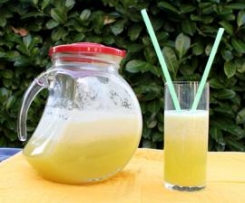 BIBITA DISINTOSSICANTE