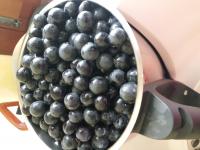 Ciao Lella.  sto cuocendo l'uva direttamente nel boccale 20 minuti a velocità  3 antiorario